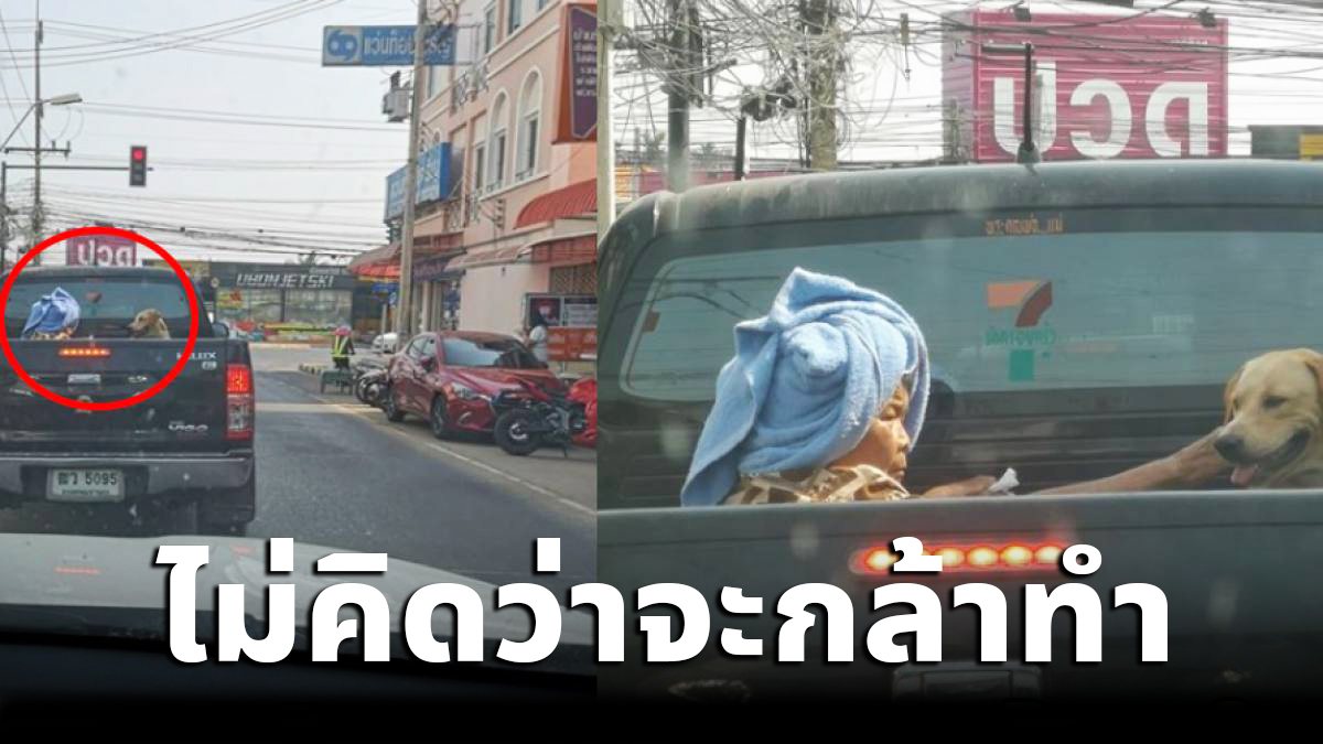 สาวเห็นยๅยนั่งหลังกระบะ กับสุนัข ซูมดูชัดๆเป็นอย่างที่คิด 488388807043998927-blid-1614759470234144016