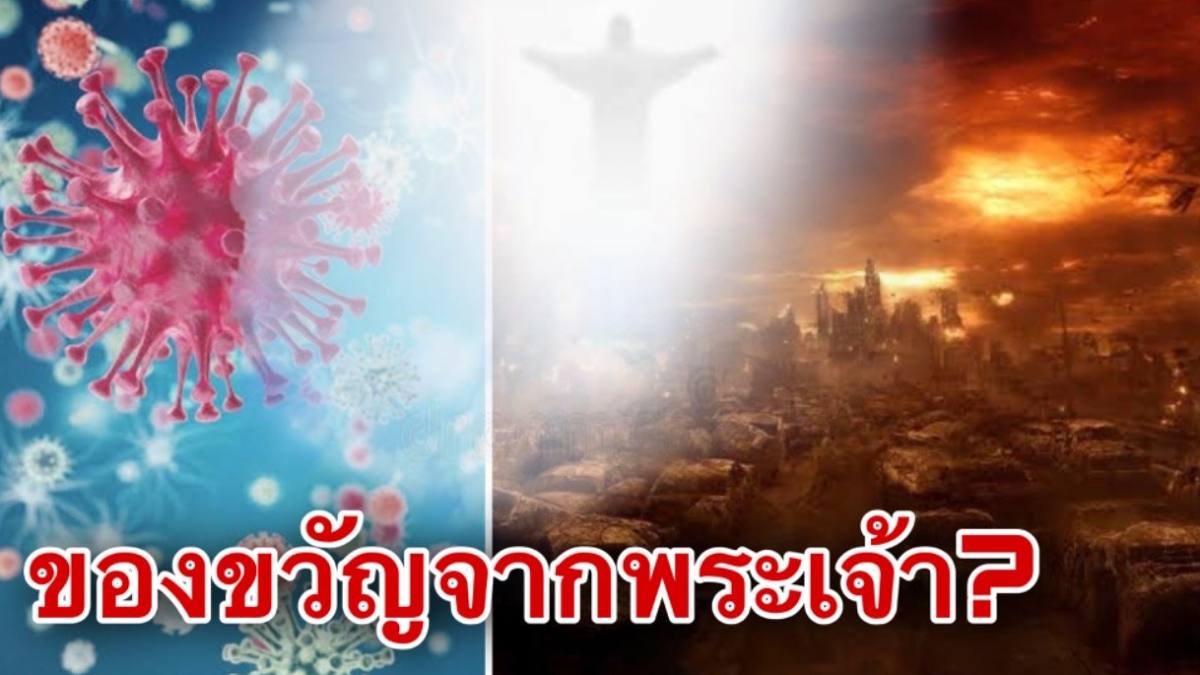 โควิดไนน์ทีน : หายนะหรือของขวัญจากพระเจ้า 1495427717122722710-blid-295890500283483261